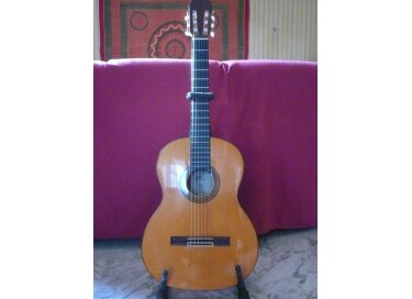 Estruch Guitars Flamenco n°1