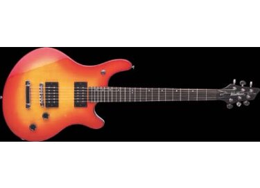 Washburn BT2