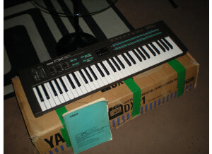 Yamaha DX21