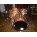 Voir la photo de la Pearl export elx  Pearl export elx