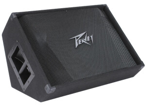 Peavey PV 15M