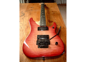 Washburn N4 Flametop