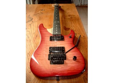 Washburn N4 Flametop