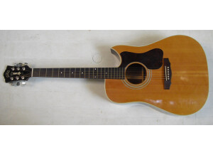 Guild D-40C