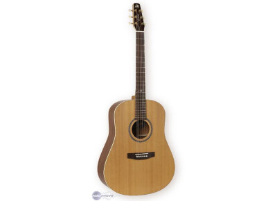 Seagull Artist Mosaic