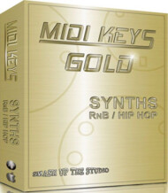 Equinox Sounds MIDI Keys Gold: Synths RnB & Hip Hop
