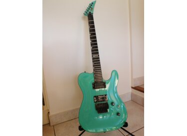 ESP The Eclipse Custom