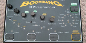 Boomerang Phrase Sampler 3 FDPin
