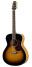 Walden Concorda Tobacco Sunburst CG670TB