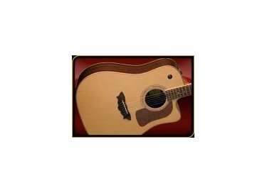 Washburn D56SWCE