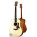 Taylor 310