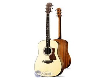 Taylor 310