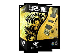 Prime Loops House Guitar Loops 2