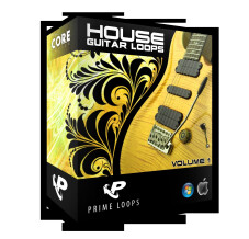 Prime Loops House Guitar Loops 2