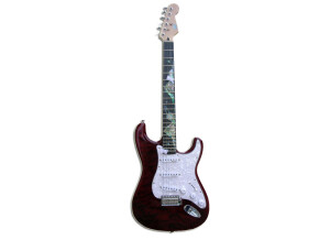 HK Instruments HK E-Gitarre WQS-Inlay