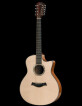 Taylor Limited 35th Anniversary Model 9-String Guitar