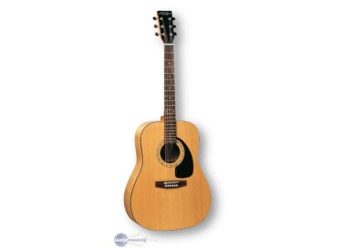 Simon & Patrick 6 Cedar