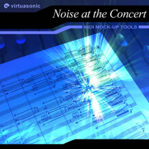 Virtuasonic Noise at the Concert