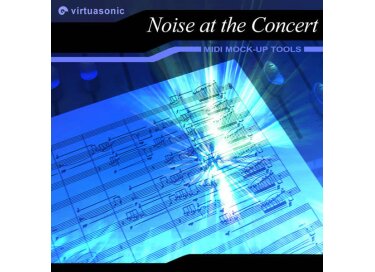 Virtuasonic Noise at the Concert