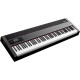Studiologic sort son Numa Nero