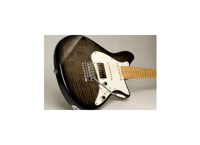 De Gier Guitars And Basses Reflection