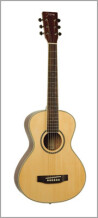 Johnson Guitars Trailblazer Deluxe