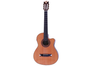 Alhambra Guitars CS-2 CW E2