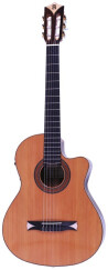 Alhambra Guitars CS-2 CW E2