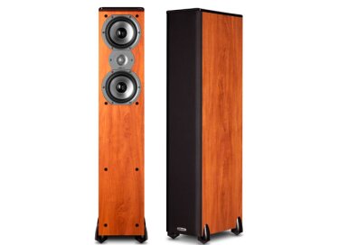 Polk Audio TSI 300