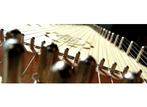 Cinematique Instruments Bowed Psaltery