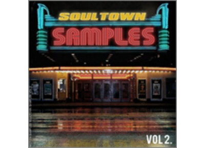 Motion Samples SoulTown Samples Vol. 2