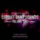 Loopmasters Circuit Bent Sounds Vol. 2