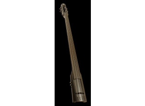 Ns Design NXT Double Bass