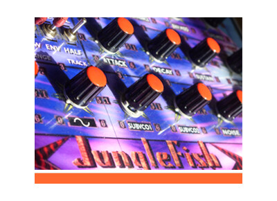 Detunized DTS007 - The Junglefish