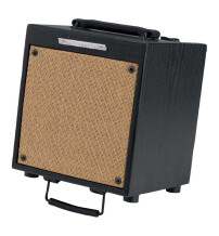 Ibanez Troubadour T20