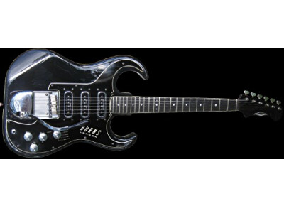 Burns Guitars Black bison