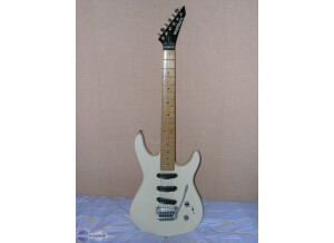 Washburn G-3V