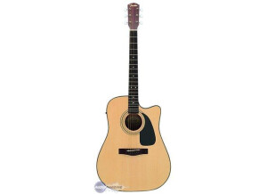 Fender DG-14SCE