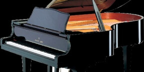 AV superbe piano Shigeru Kawai SK5