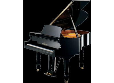 Bechstein B-A190NL