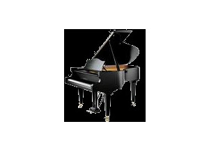 Bechstein B-L167NL