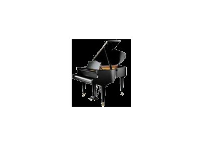 Bechstein B-L167NL