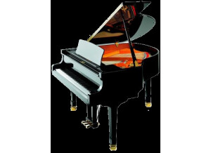 Petrof P-IV Recital