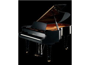 Bechstein B-A228NL