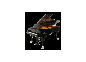 Bechstein B-C234NL