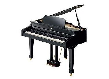 Roland RG-3-PE