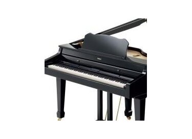 Roland RG-3M-PE