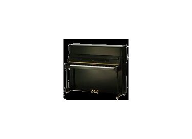 Bechstein B-A2NL