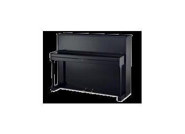Sauter Carus 120 NL