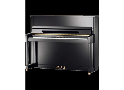 Schimmel C 120 tradition